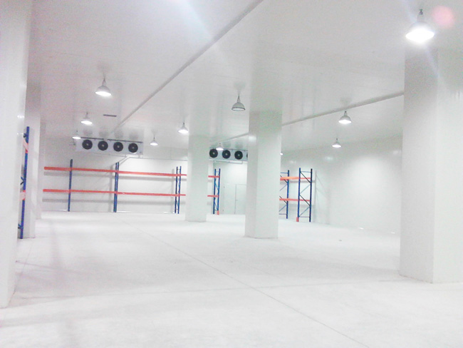 Logistics-Center-Cold-Storage-7 مركز الخدمات اللوجستية-التخزين البارد-7