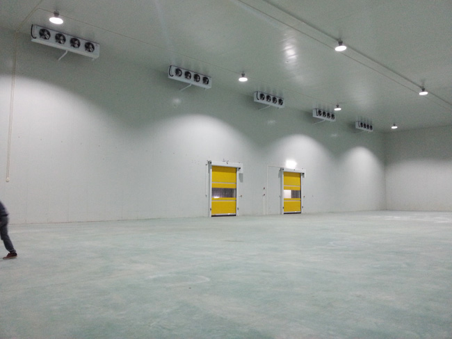 Low-Temperature-Cold-Storage-Project8 مشروع تخزين بارد ودرجة حرارة منخفضة8