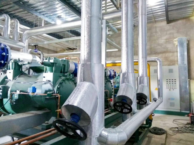 coldchainlogisticscenter4 مركز الخدمات اللوجستية لسلسلة التبريد4
