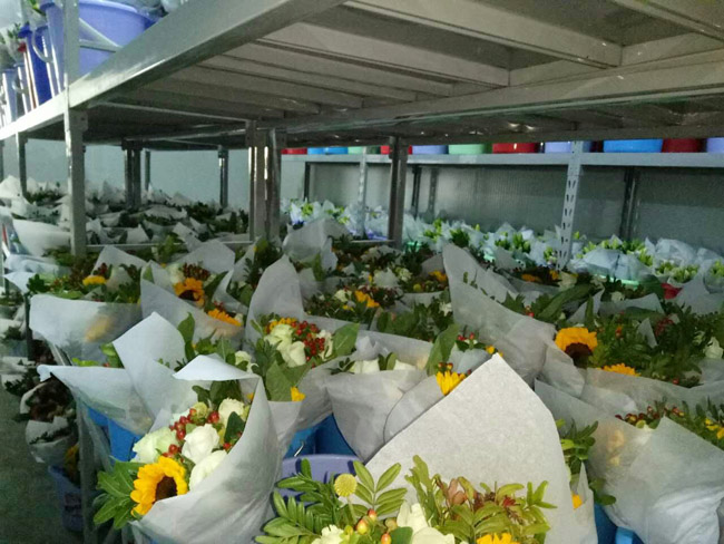 Fresh-Flower-Preservation-Refrigerator2 ثلاجة حفظ الزهور الطازجة2