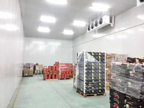 Fruit-cold-storage4 الفاكهة والتخزين البارد4