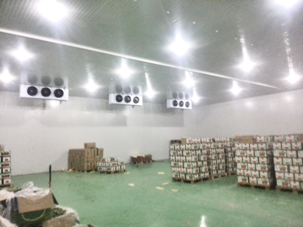 Cold-Storage7 التخزين البارد7