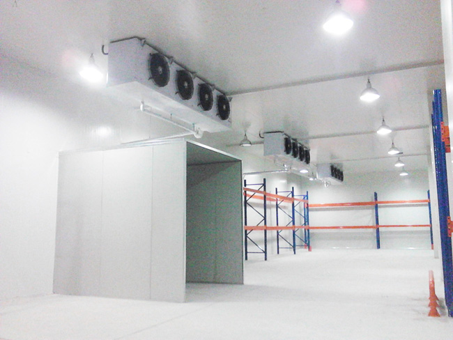 Logistics-Center-Cold-Storage-9 مركز الخدمات اللوجستية-التخزين البارد-9