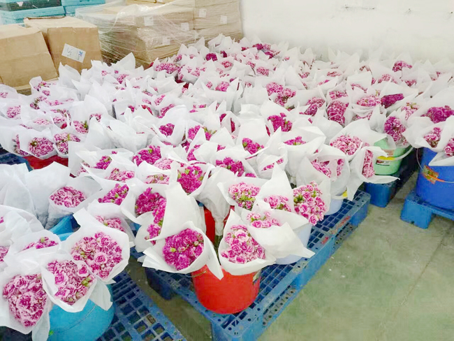 Fresh-Flower-Preservation-Refrigerator3 ثلاجة حفظ الزهور الطازجة3
