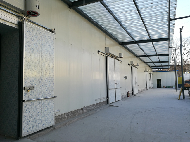 Fruit-Center-Project مشروع مركز الفاكهة