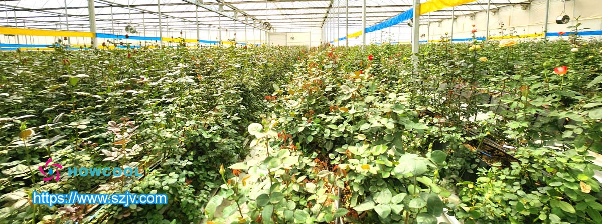  التخزين البارد للزهور