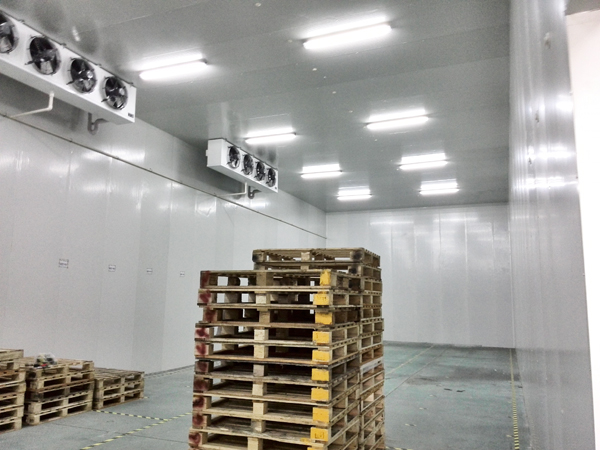 Fruit-cold-storage1 تخزين الفاكهة البارد1