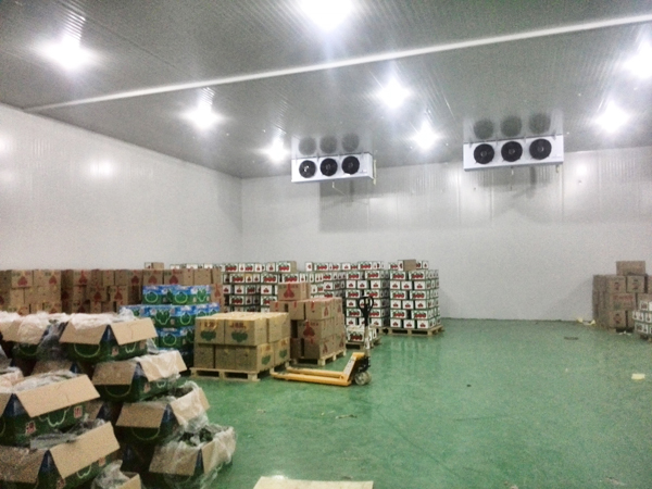 Cold-Storage4 التخزين البارد4