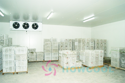 كاليفورنيا.التخزين البارد (2)