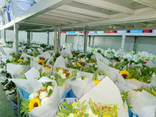 Fresh-Flower-Preservation-Refrigerator5 ثلاجة حفظ الزهور الطازجة5