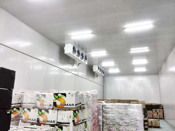 Fruit-cold-storage5 الفاكهة والتخزين البارد5