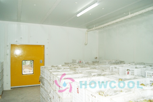 كاليفورنيا.التخزين البارد