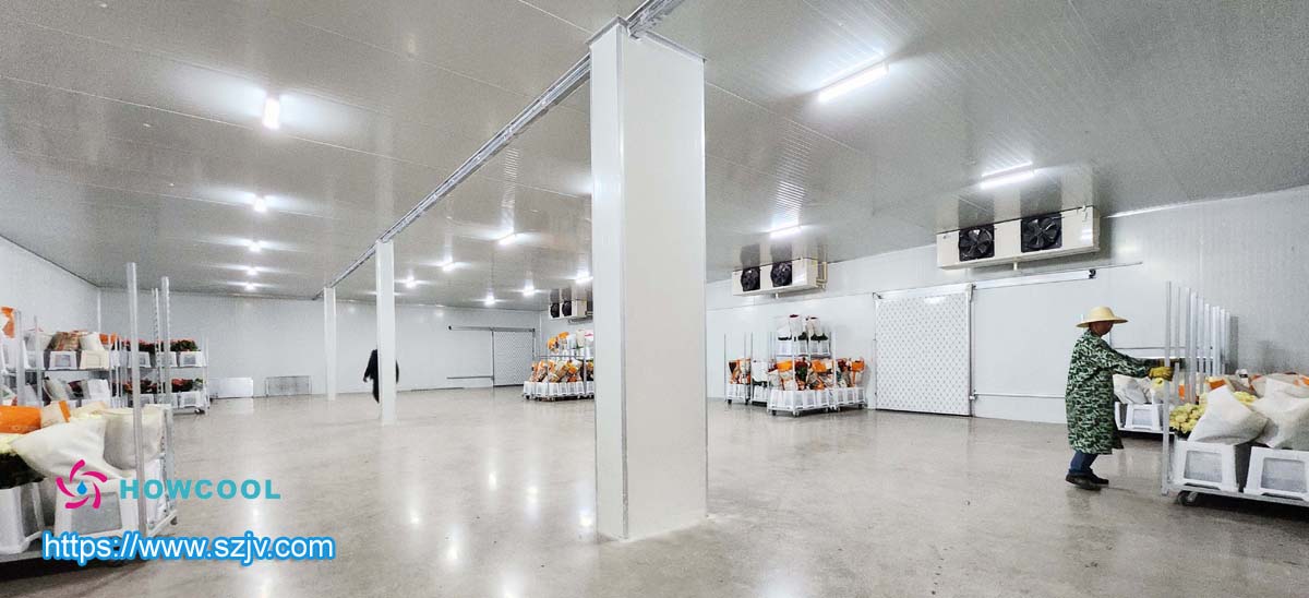 درجة حرارة التخزين البارد للزهور