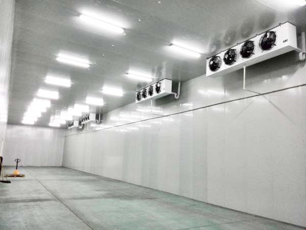 Fruit-cold-storage3 الفاكهة والتخزين البارد3