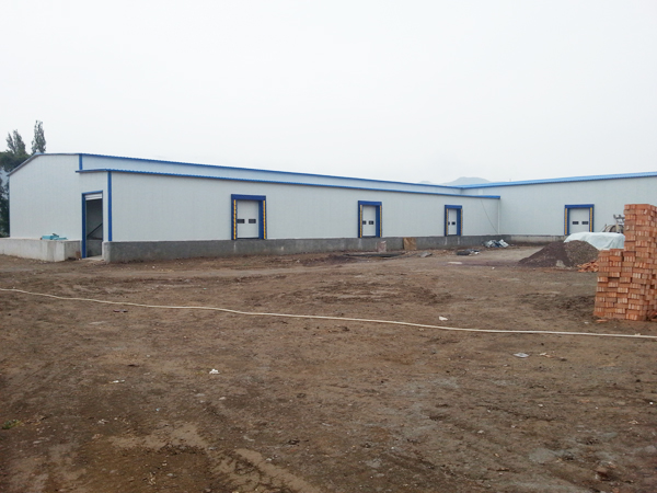 Cold-Storage3 التخزين البارد3