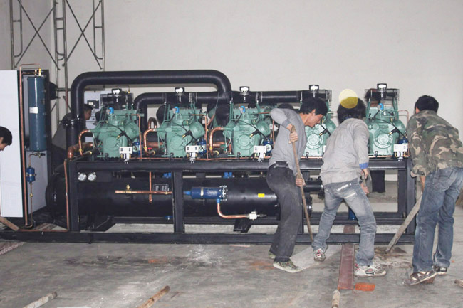 Logistics-Center-Cold-Storage-2 مركز الخدمات اللوجستية-التخزين البارد-2