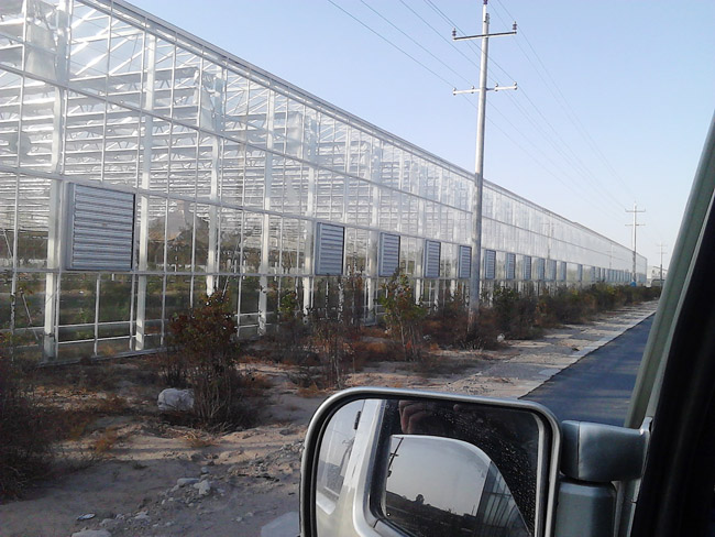 منغوليا الداخلية8