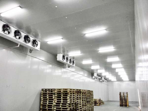 Fruit-cold-storage2 الفاكهة والتخزين البارد2